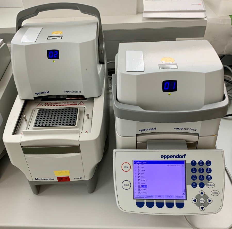 PCR Thermal Cycler
