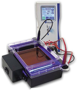 Electrophoresis System - Muscat Medical Equipment